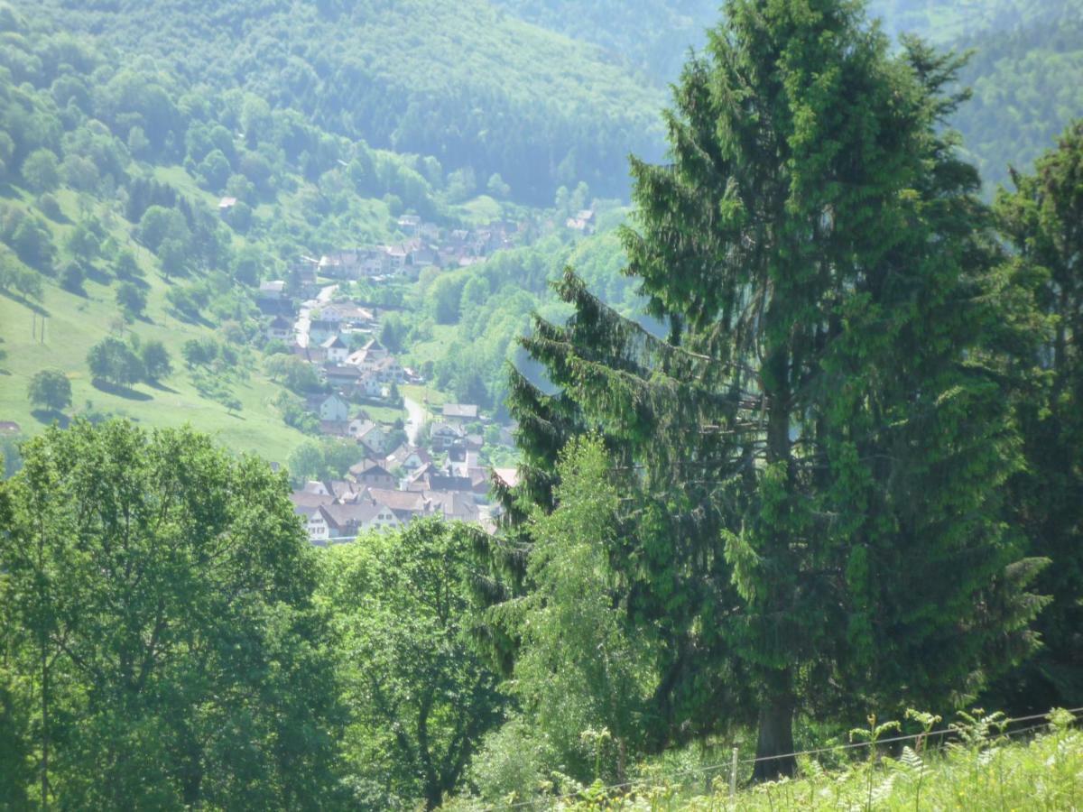 Maison D'Hotes Du Landersbach Sondernach Zewnętrze zdjęcie